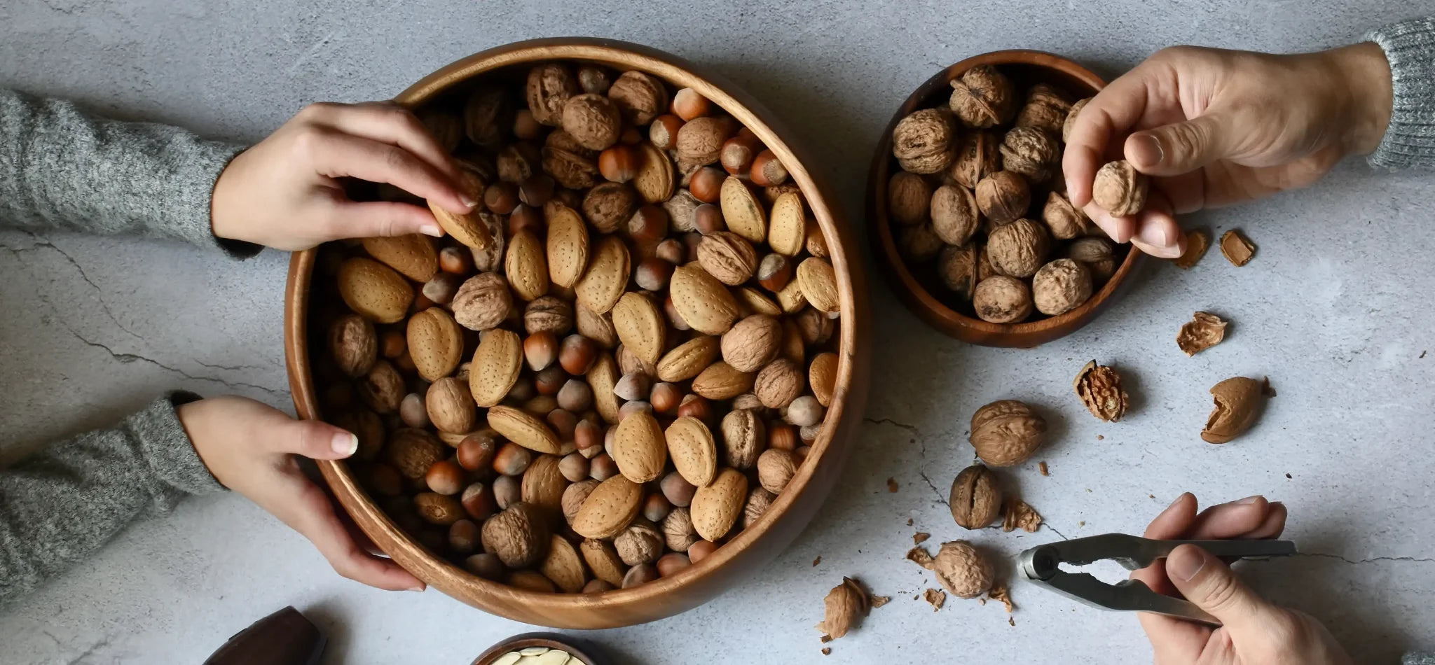 Le Nocciole, Ricche di Nutrimento e Spiritualità - Articoli - Zig Italia