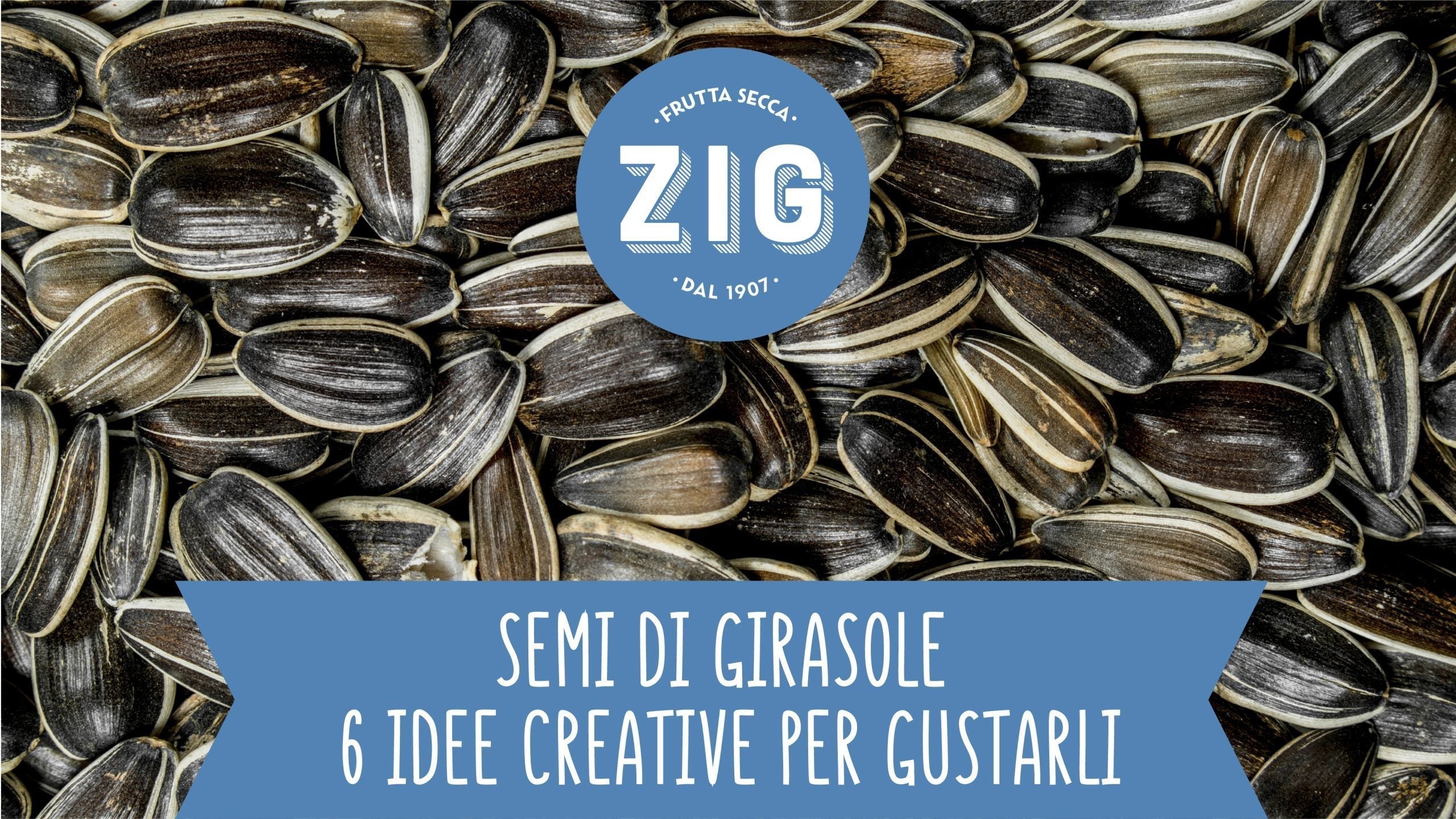 Semi di Girasole: 6 idee creative per gustarli - Articoli - Zig Italia