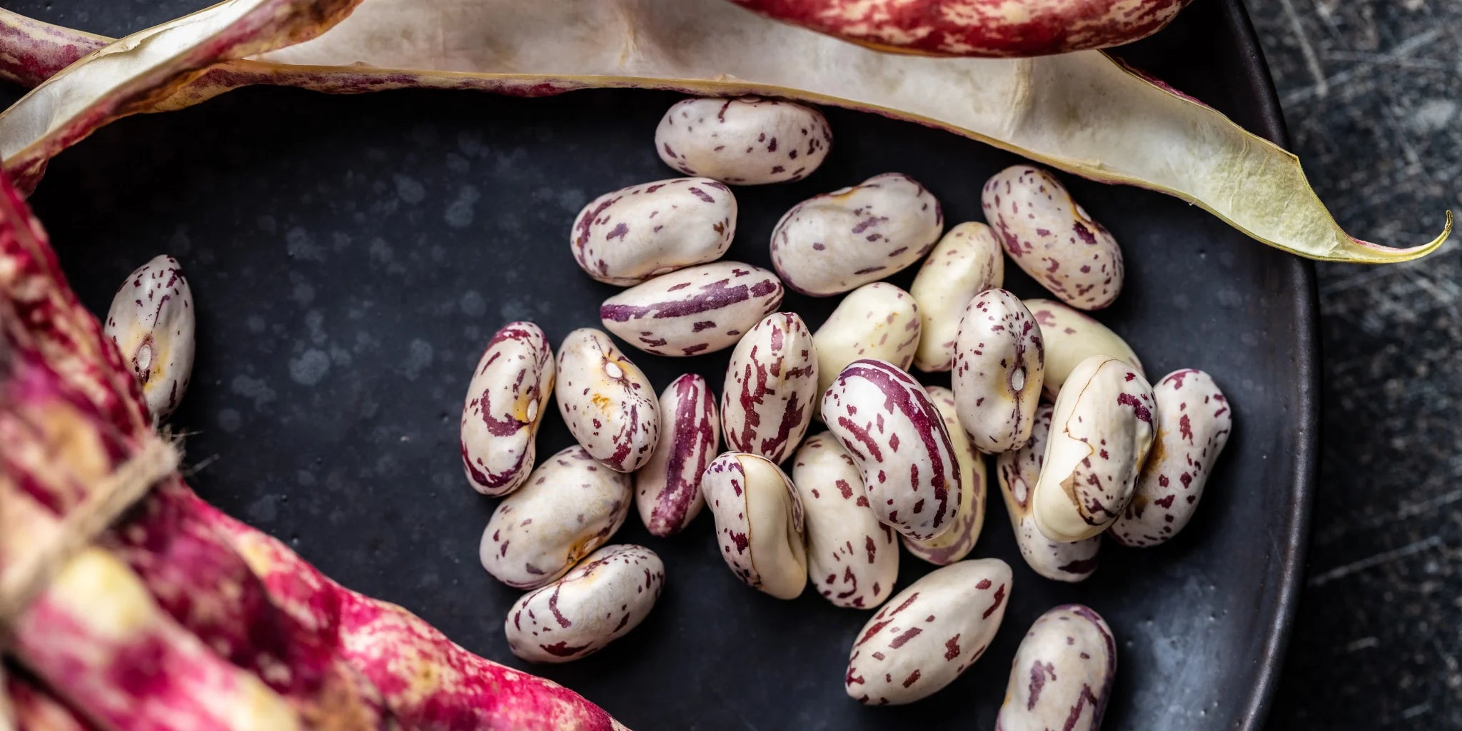 I fagioli: il legume dai mille colori e dalle mille leggende - Articoli - Zig Italia