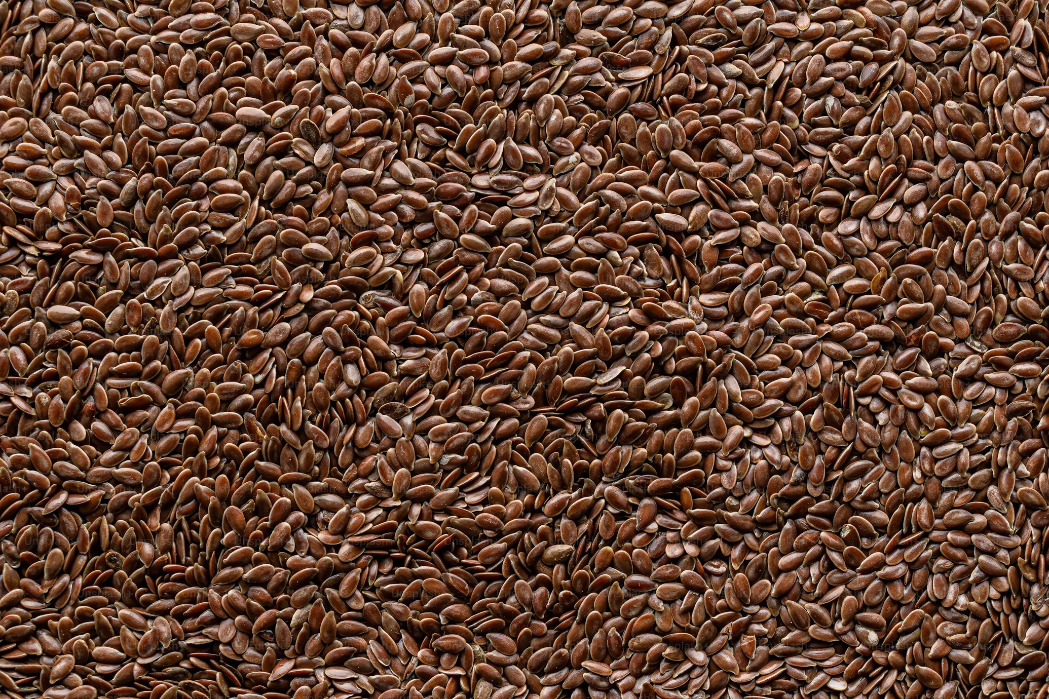 Semi di lino: il superfood naturale per il benessere quotidiano