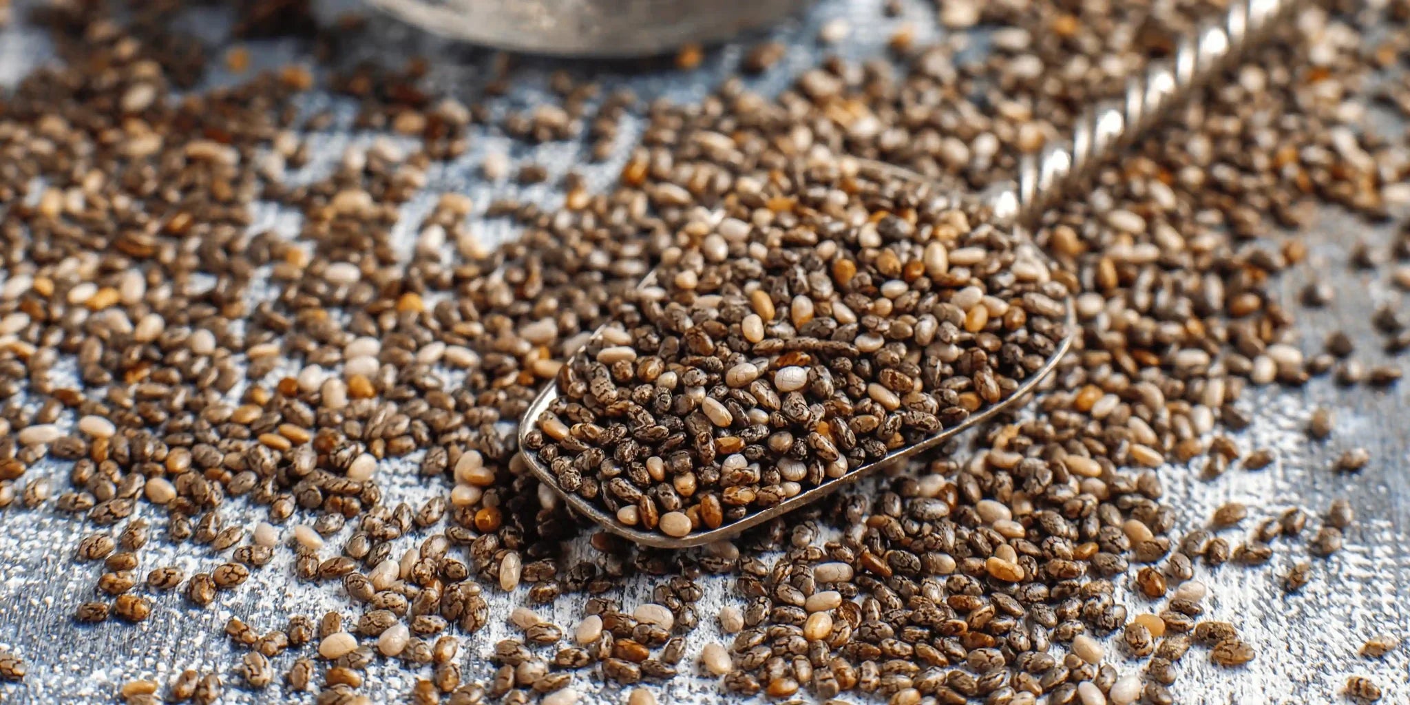 Semi di Chia: ricette deliziose e salutari - Articoli - Zig Italia